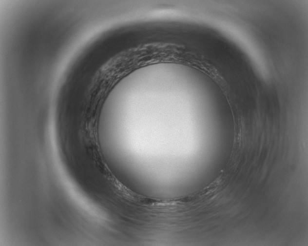 X0000057560524200509160813