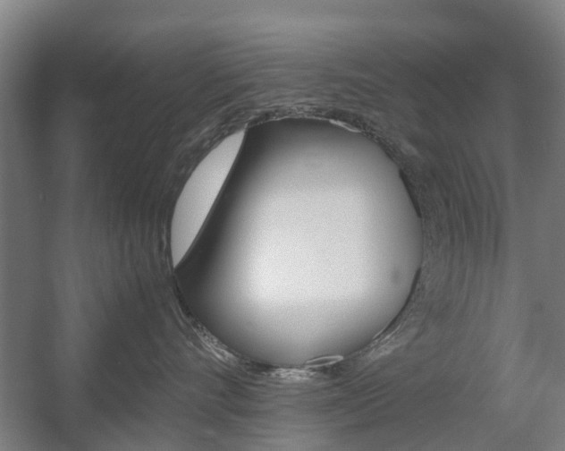 X0000057560528200509160813