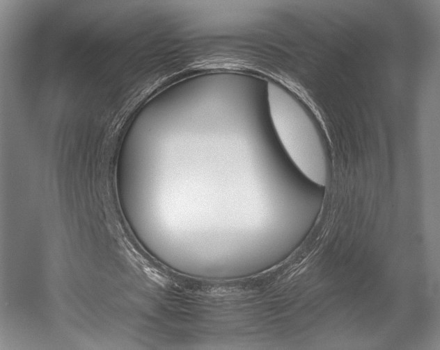 X0000057560529200509160813