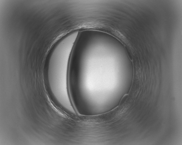 X0000057560530200509160813