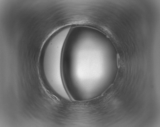 X0000057560532200509160813