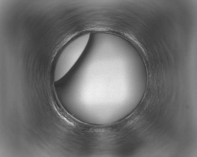 X0000057560533200509160813