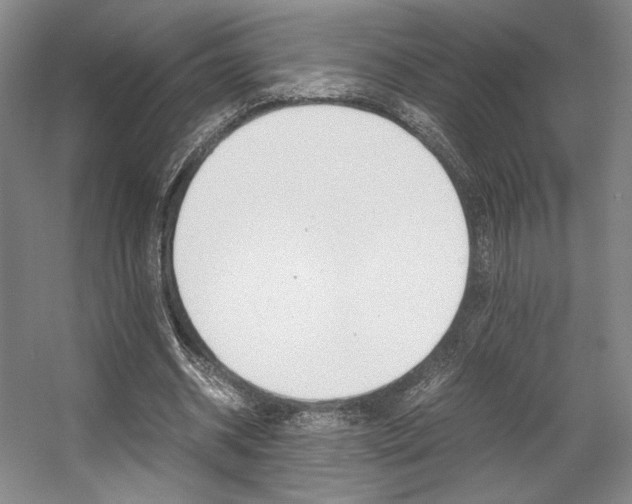 X0000057560534200509160813