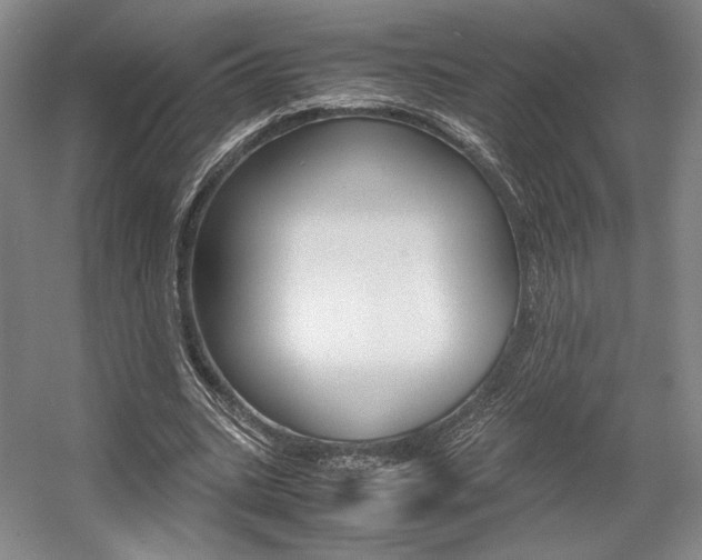 X0000057560535200509160813