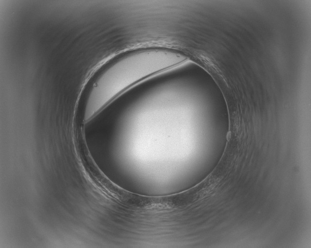 X0000057560536200509160813