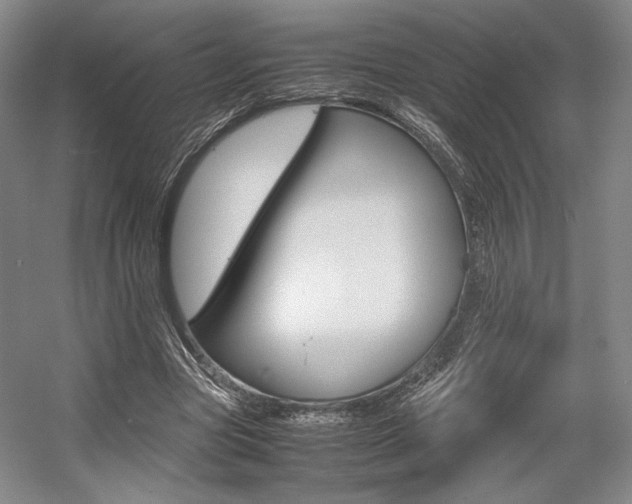 X0000057560537200509160813