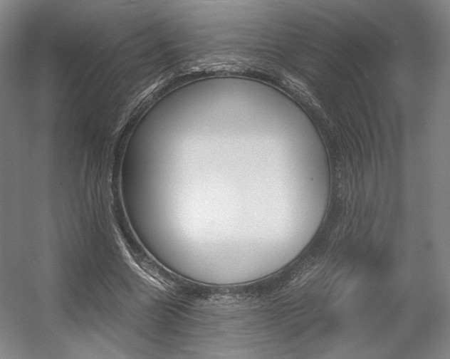 X0000057560538200509160813