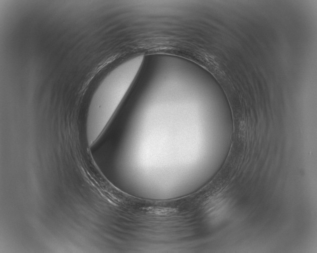 X0000057560539200509160813