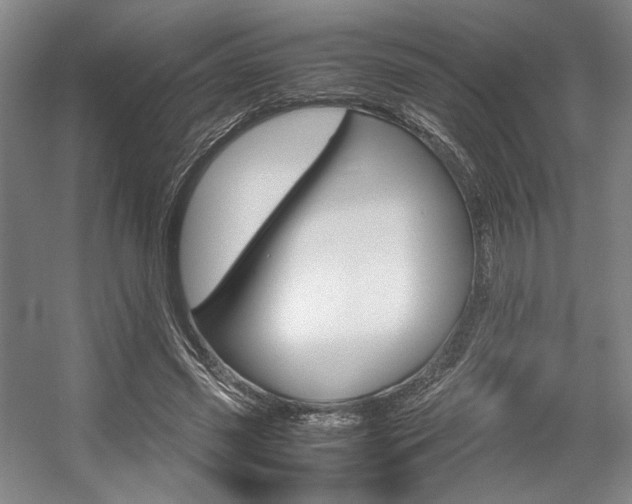 X0000057560541200509160813
