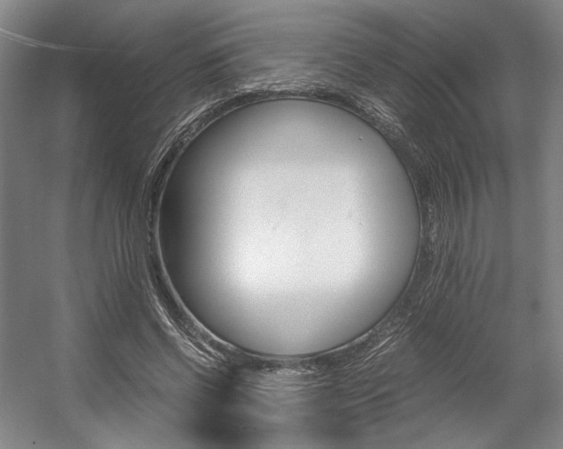 X0000057560542200509160813