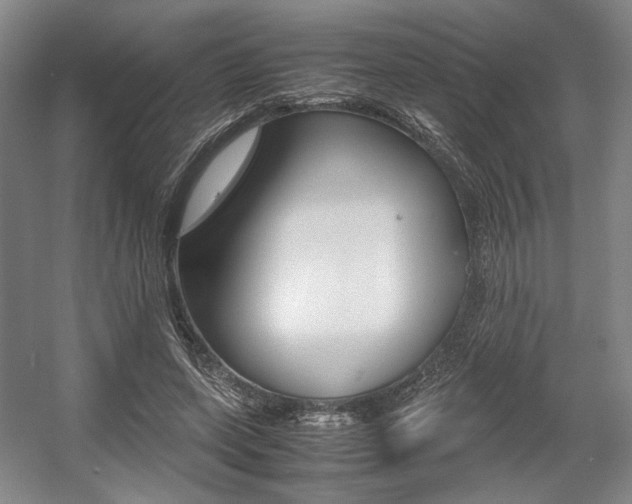 X0000057560543200509160813