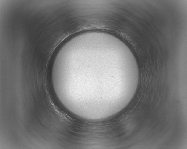 X0000057560544200509160813