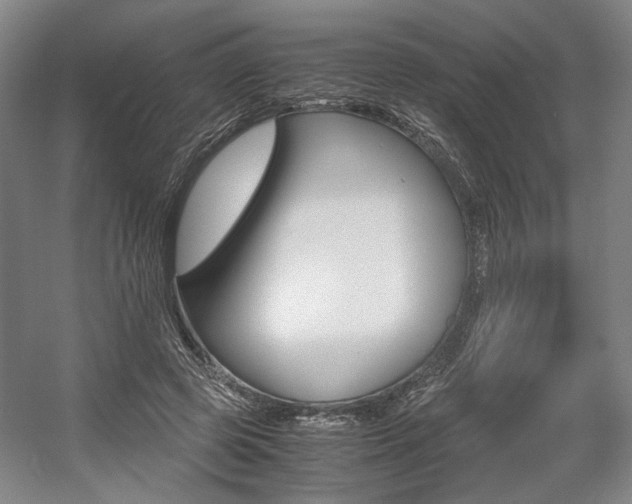 X0000057560545200509160813