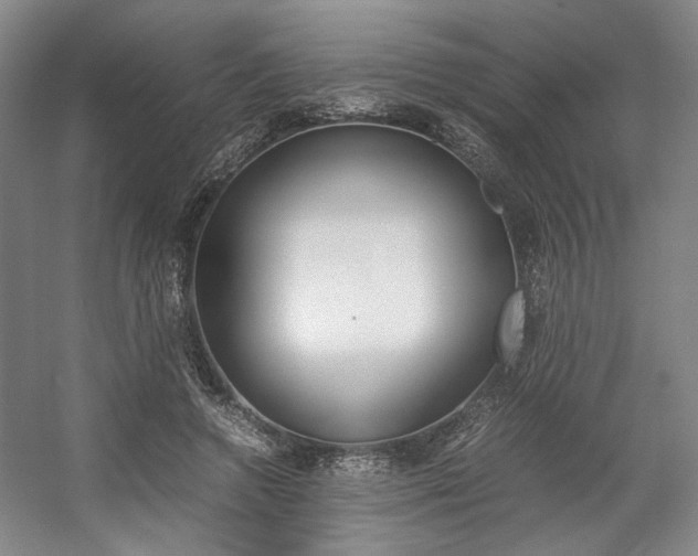 X0000057560546200509160813