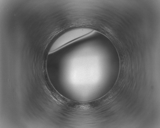 X0000057560548200509160813
