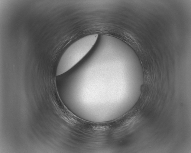X0000057560549200509160813