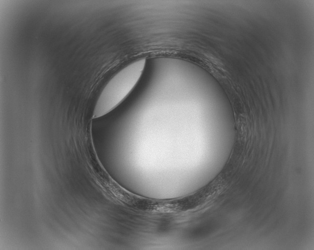 X0000057560550200509160813