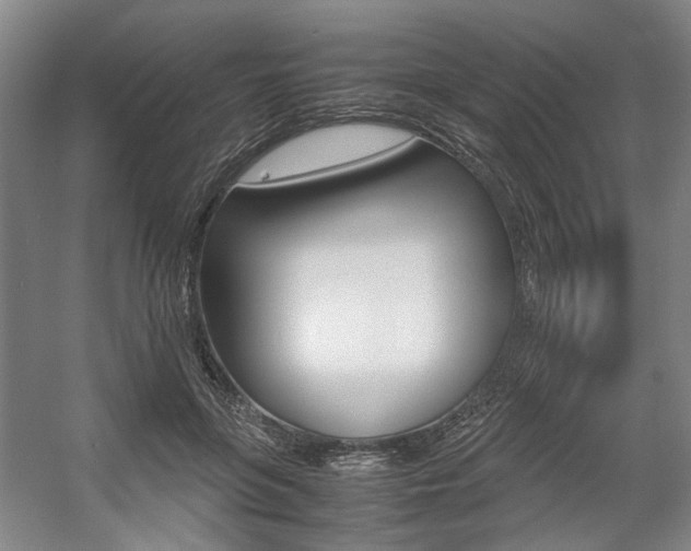 X0000057560551200509160813