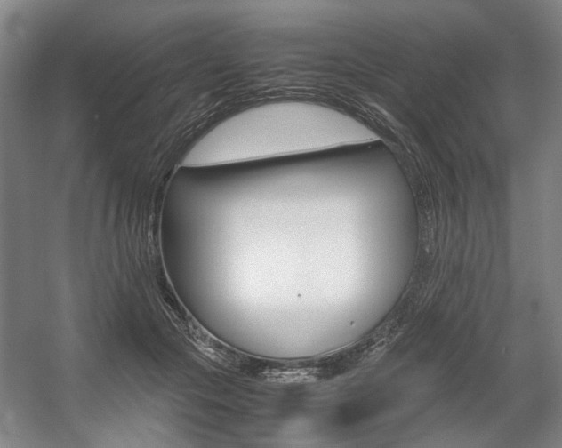 X0000057560553200509160813