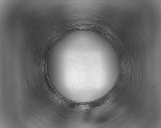 X0000057560554200509160813