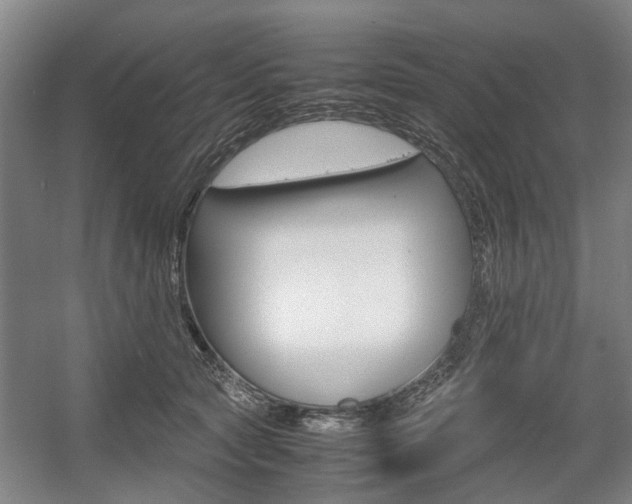 X0000057560561200509160813