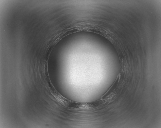 X0000057560562200509160813
