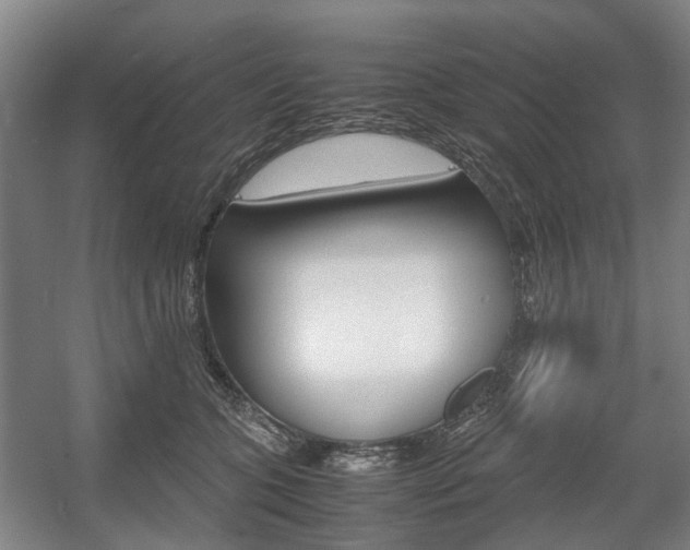 X0000057560563200509160813