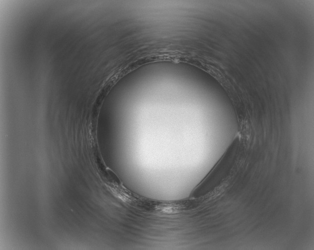 X0000057560564200509160813