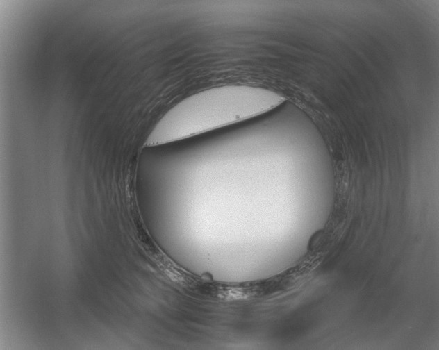 X0000057560565200509160813