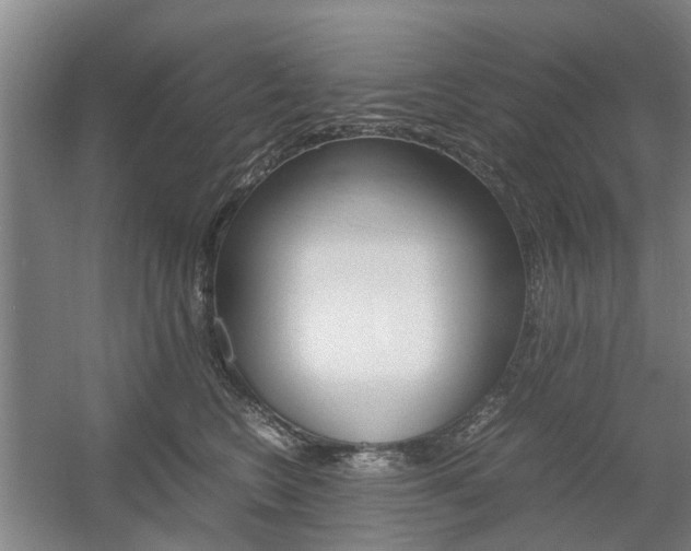 X0000057560566200509160813