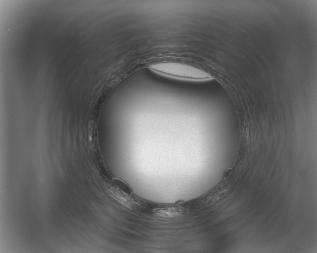 X0000057560567200509160813