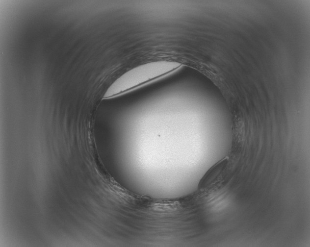 X0000057560571200509160813