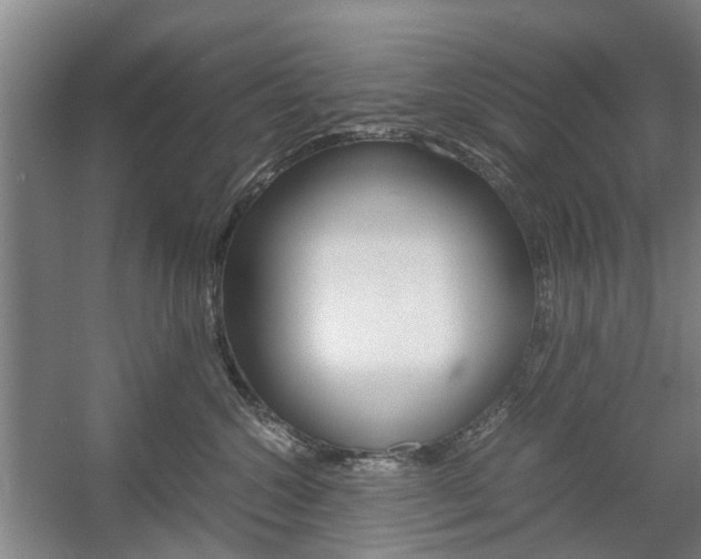 X0000057560572200509160813