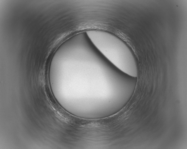 X0000057560578200509160813