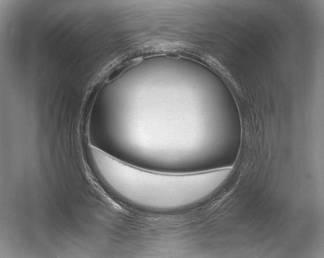 X0000057560581200509160812