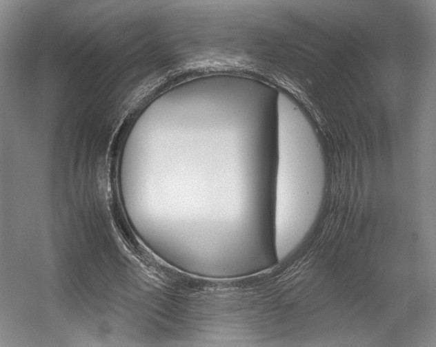 X0000057560582200509160812