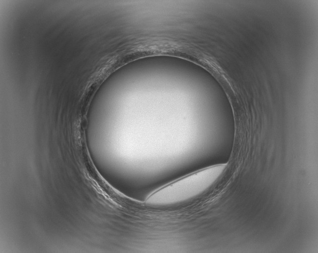 X0000057560585200509160812