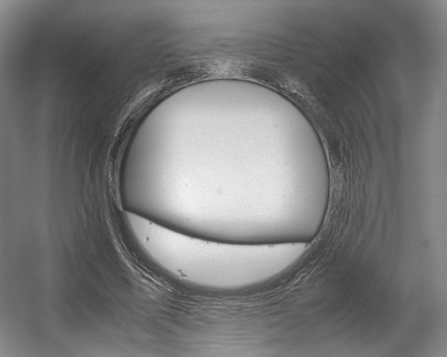 X0000057560587200509160812