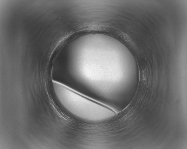 X0000057560588200509160812