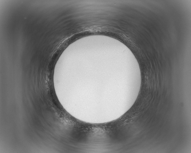 X0000057560592200509160812