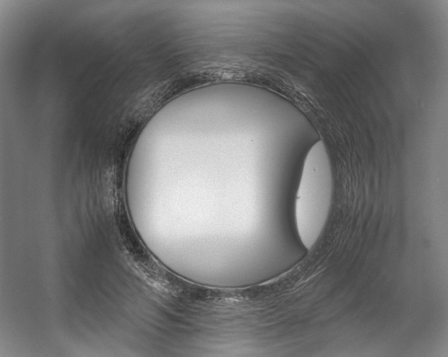 X0000057560594200509160812