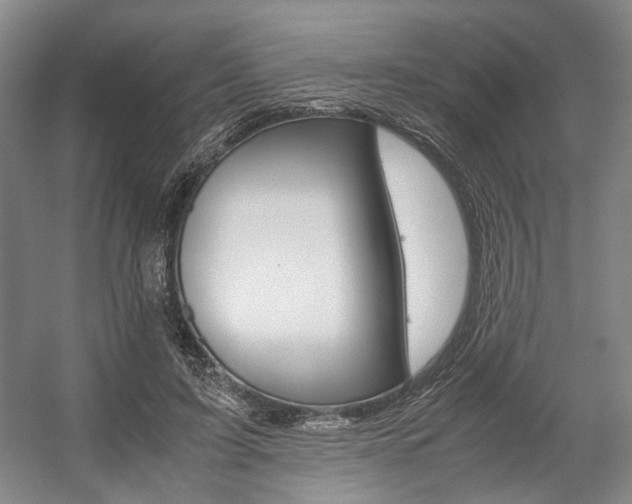 X0000057560595200509160812