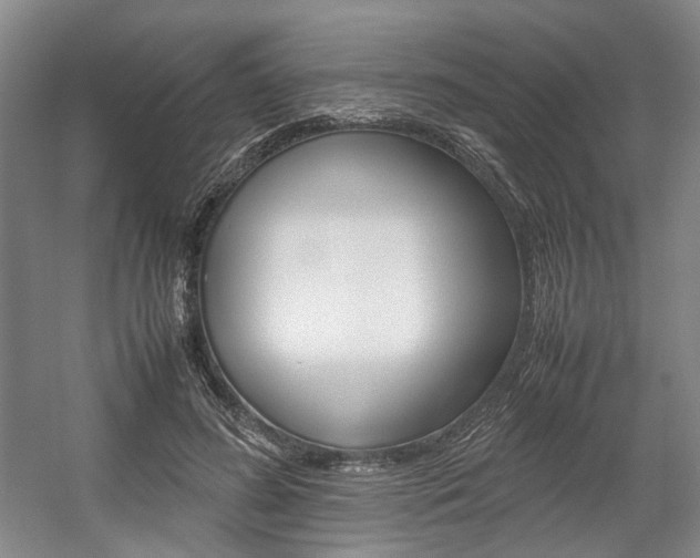 X0000057560596200509160812