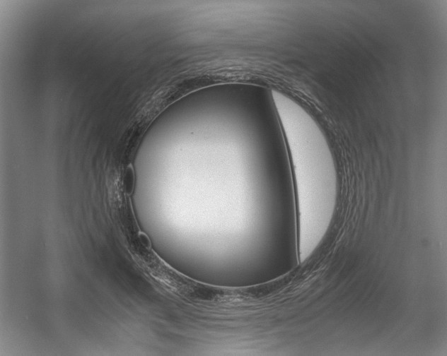 X0000057560597200509160812