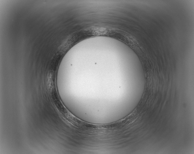 X0000057560598200509160812
