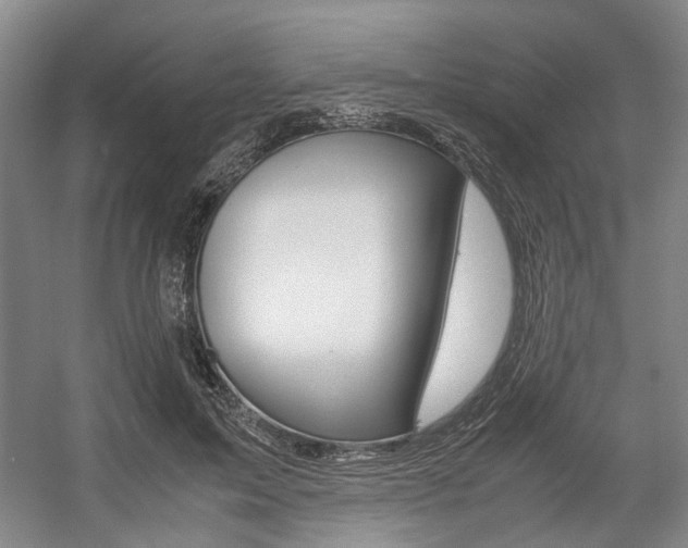 X0000057560599200509160812