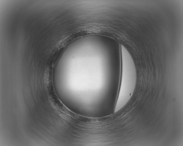X0000057560600200509160812
