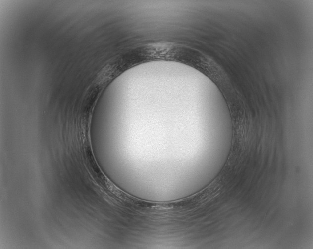 X0000057560602200509160812