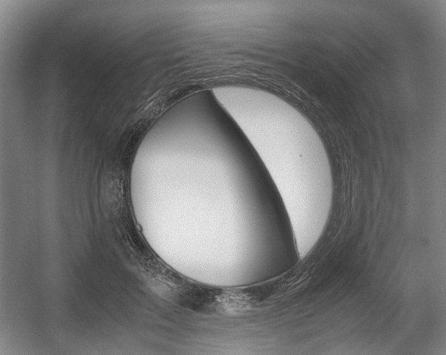 X0000057560603200509160812