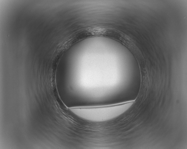 X0000057560604200509160812